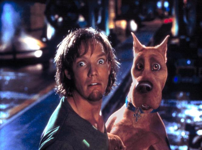 Matthew Lillard po latach. Sprawdzamy, jak zmienił się Kudłaty ze "Scooby Doo"