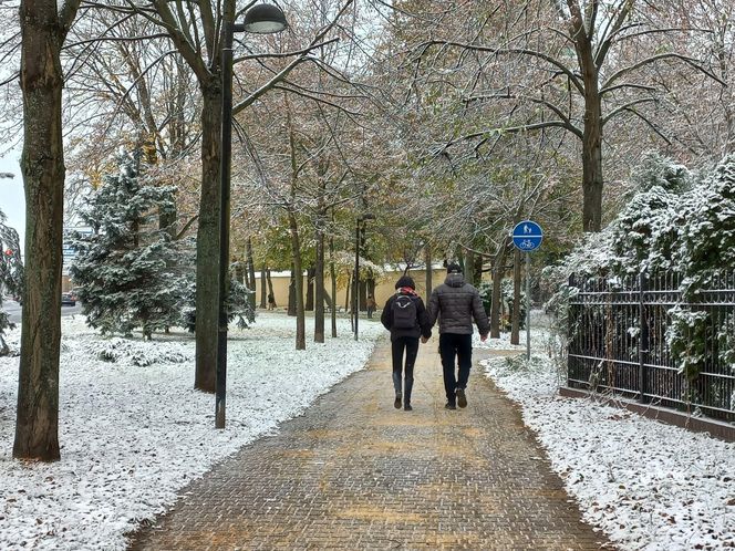 Początek sezonu zimowego w Lesznie - 22 listopada 2024