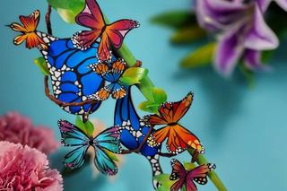 Kielecka stylistka paznokci zdobywa puchary w wielu kategoriach