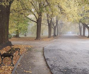 Zamojski Park jesienią