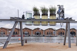 Canal Cafe ze Złotym Lwem - Biennale Wenecja 2025