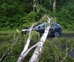 Potężna nawałnica przeszła przez woj. lubelskie. Straty są ogromne, jedna osoba jest ranna [ZDJĘCIA]