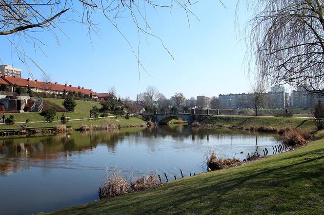 Chorzów: Milion złotych da Unia na modernizacje stawów Amelung
