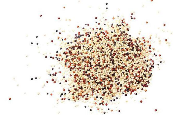 Komosa ryżowa (quinoa)