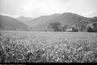 Bieszczadzki worek, czyli wsie zakazane
