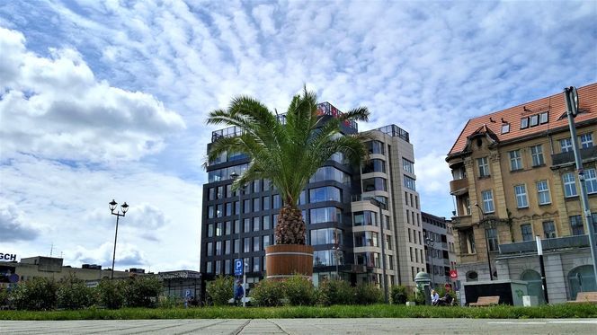 Las Palmas przyjechało na Śląsk. Gliwice niczym egzotyczny kurort dla turystów