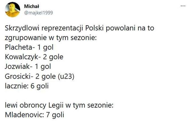 Reakcja internautów na powołania Sousy