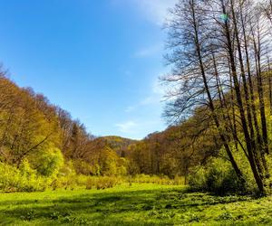 Świętokrzyski Park Narodowy - co warto zobaczyć?