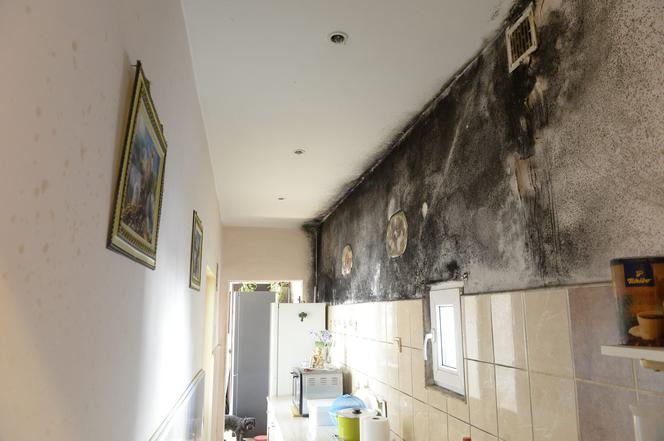 Ten grzyb nas zabije! Przerażające warunki w mieszkaniu komunalnym na Mińskiej.