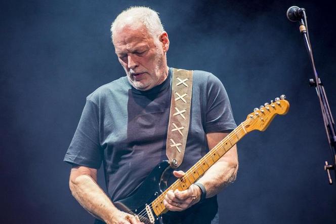 David Gilmour z nowym projektem, opartym na... sztucznej inteligencji! Muzyk zaprosił do współpracy fanów