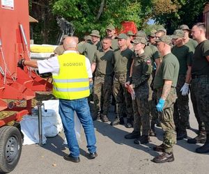 Przygotowania do powodzi w Kostrzynie nad Odrą