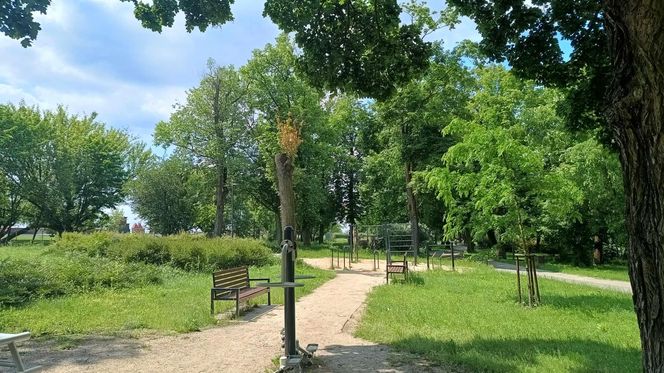 Park