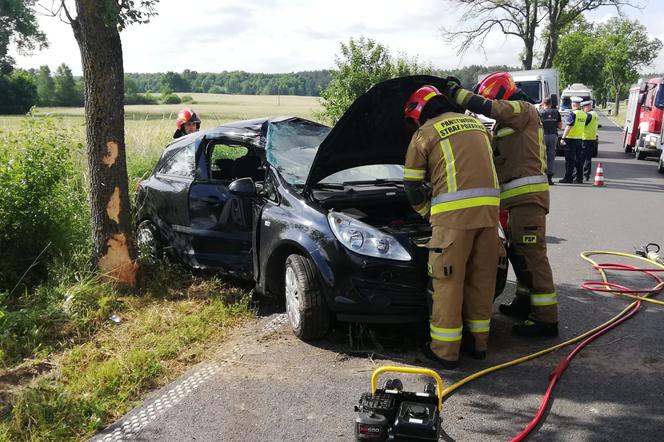 Kujawsko-pomorskie: Osobówka wbiła się w drzewo! W środku uwięziona kobieta [ZDJĘCIA]