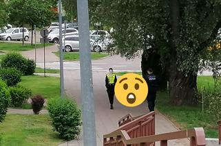 Tak wygląda pies policyjny na Podlasiu. Nietypowy widok w Białymstoku