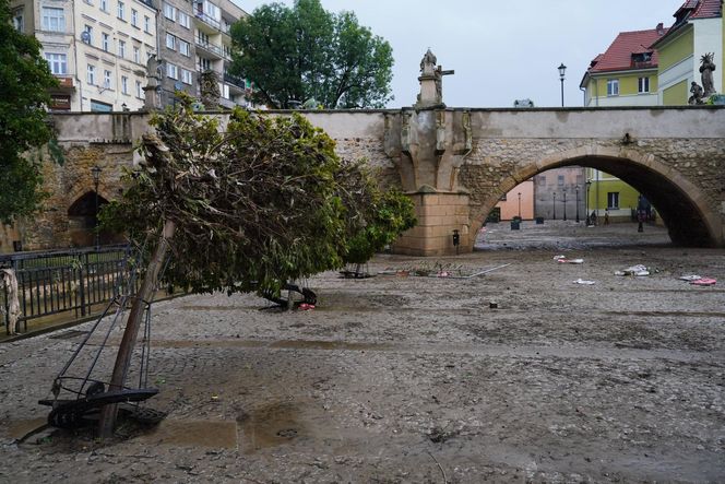 Nowe nagranie z dziewczynką z Kłodzka pojawiło się w sieci. Nie da się przejść obojętnie, ściśnie ci gardło!