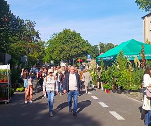 50. edycja kiermaszu Pamiętajcie o ogrodach