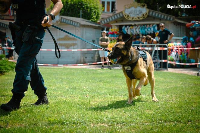 Wojewódzkie Obchody Święta Policji w Żorach 2024