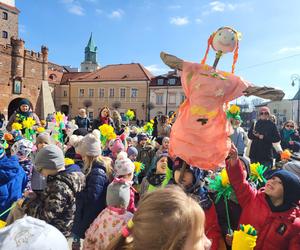 Plac przed ratuszem zakwitł. Przedszkolaki witały wiosnę [GALERIA]