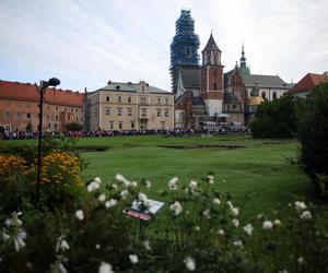 Pielgrzyma na Jasną Górę ruszyła z Krakowa. Tłumy uczestników zmierzają do Częstochowy