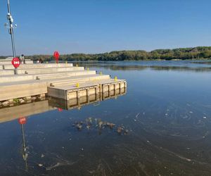 Wisła w Fordonie wyraźnie przybrała i przyspieszyła. Duża woda niesie mnóstwo śmieci i zanieczyszczeń