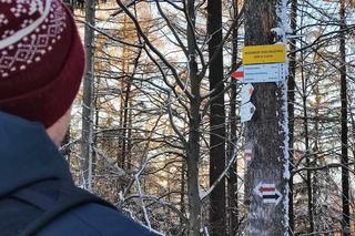 Piękne dolnośląskie góry. Na tych szlakach nie ma tłumów, gdzie szukać takich miejsc?