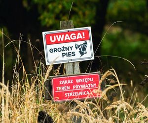 Dobry, serdeczny. Puławy pogrążone w żałobie. W poniedziałek pogrzeb pana Marcina, którego zagryzły psy