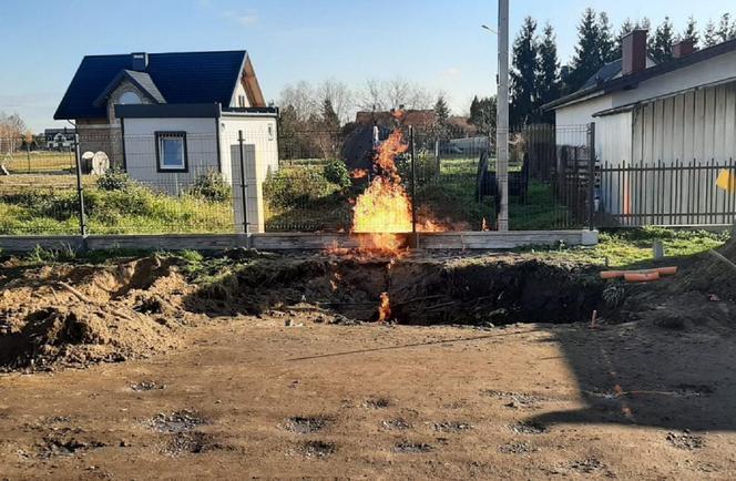 Ewakuacja w Łęgu Tarnowskim. Zapalił się gaz z uszkodzonego gazociągu