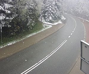 Śnieżyca w Małopolsce. Atak zimy w połowie maja!
