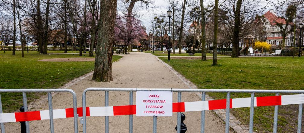 Dostali mandat za siedzenie w aucie 