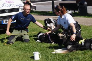 Piknik charytatywny Łatwo Pomagać. Tłumy na bydgoskiej Wyspie Młyńskiej [ZDJĘCIA]