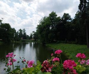 Lato w Parku miejskim w Zamościu 