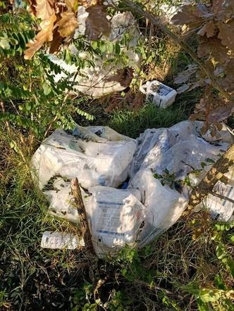 Trucizna ukryta w lesie. Leśnicy wściekli po odkryciu makabrycznego znaleziska
