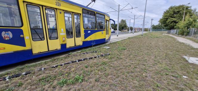 Tory prowadzą na trawnik. Taki widok przy ul. Legionów w Toruniu