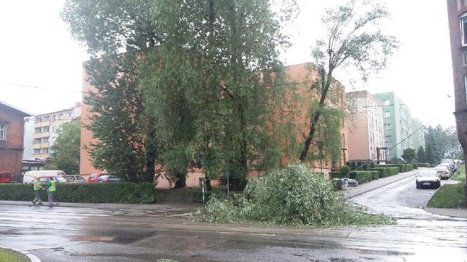 Burza nad Śląskiem zbiera żniwo. Połamane drzewa i braki w dostawie prądu [ZDJĘCIA, WIDEO]