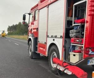 Śmiertelny wypadek na S7! Dwóch mężczyzn nie żyje. Bus huknął w bariery i wpadł do rowu [ZDJĘCIA]