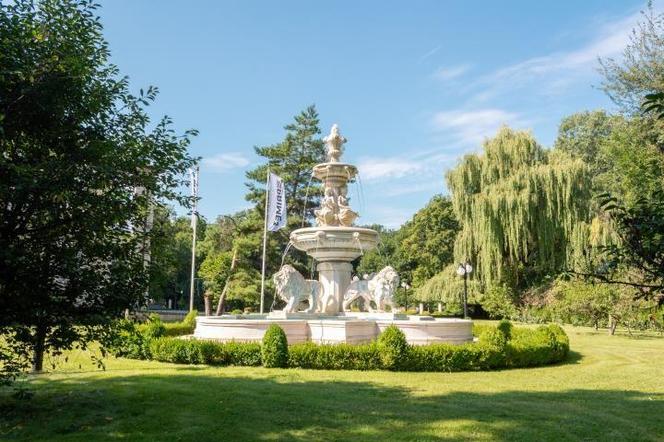 Zabytkowy pałac z wielkim parkiem pod Wrocławiem na sprzedaż. Cena robi wrażenie