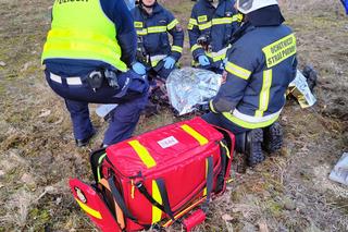 Groźny wypadek na DK 10 pod Bydgoszczą! Dwie osoby poszkodowane [ZDJĘCIA]