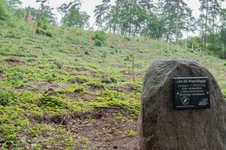 Brodnicki Park Krajobrazowy to raj dla aktywnych turystów. Odkryj bajkowe trasy i miejsca, jakie znasz z powieści kryminalnych!