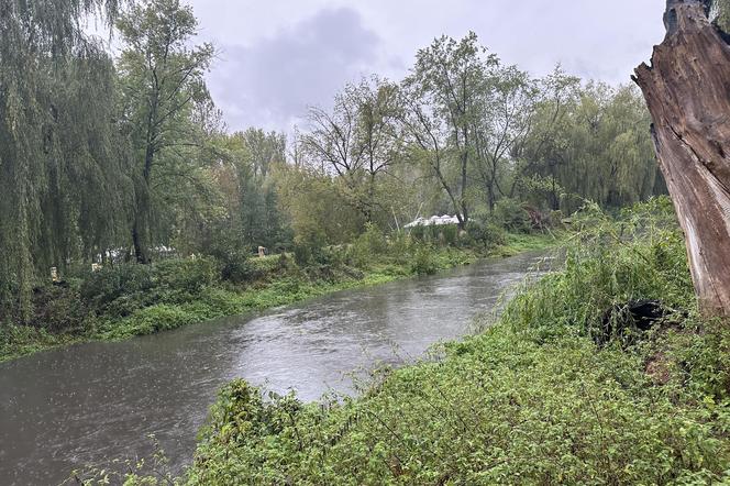 Brynica woj. śląskie - Sosnowiec, Stawiki