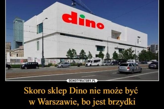 Memy o Dino obiegły social media
