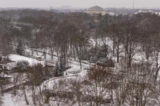 Pierwszy, większy śnieg w mieście. Zaczęła padać 11 grudnia  