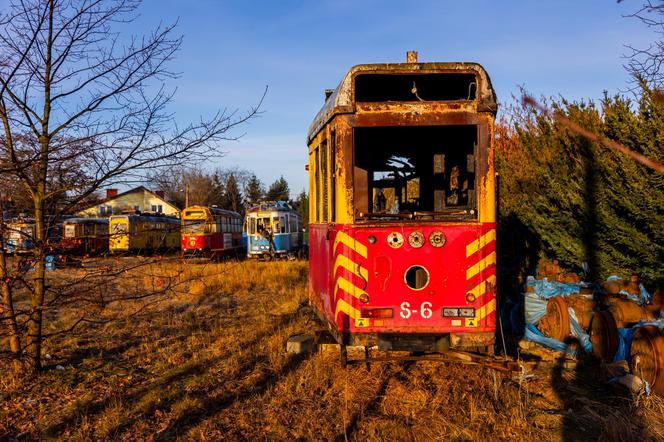 Zobacz kolekcję starych tramwajów w prywatnym ogrodzie - zdjęcia. Wagony stoją na działce w Warszawie