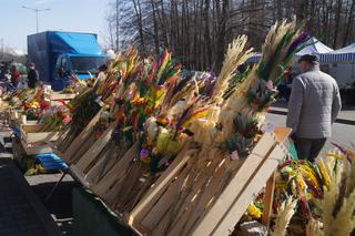 Wiosenny Kiermasz Ogrodniczy w Bydgoszczy [ZDJĘCIA]