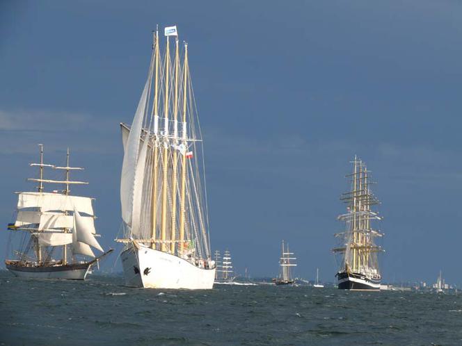 ParadaZagleGdyni2014_FotMZwierz_710250