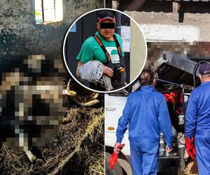 Umierały z głodu, pragnienia i w ciemności