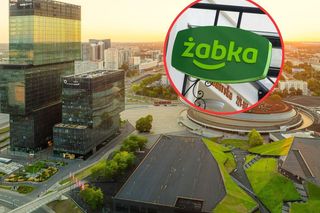 Miasta w Śląskiem z największą ilością Żabek. Liczby powalają