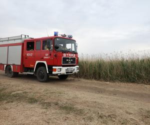 Pożar Biebrzańskiego Parku Narodowego opanowany! Nocny dozór pogorzeliska [ZDJĘCIA]