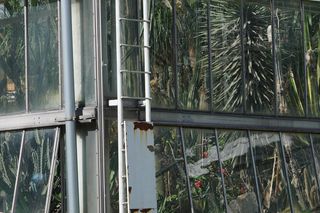 Palmiarnia Poznańska przed przebudową