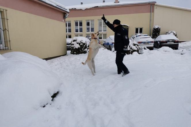 Region: Policjanci pomogli niewidomej kobiecie. Zaopiekowali sie jej psem