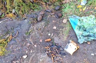 Bytom: Poszedł łowić ryby, wrócił z reklamówką granatów i pocisków